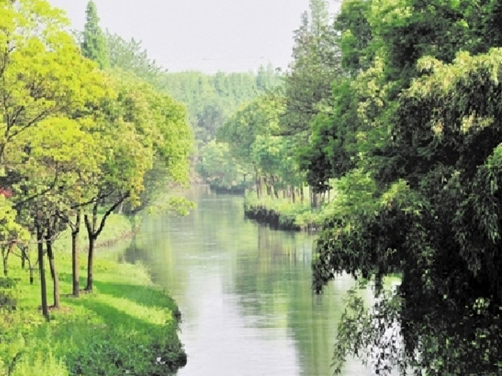 生態(tài)護(hù)岸技術(shù)